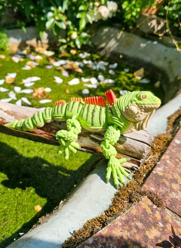 Flexi iguana 23cm - iguana, long