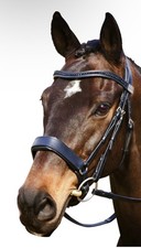 Fairfax Cavesson Noseband Fine