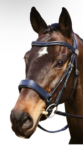 Fairfax cavesson noseband - cavesson,