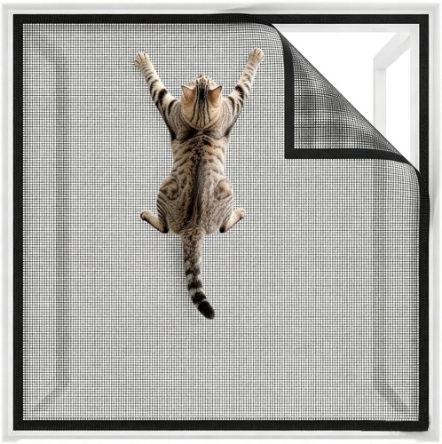Window fly screen - fly,