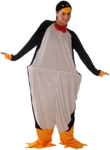 Fat penguin adult animal fancy - fat,