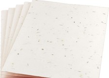 25 A4 Plantable Seed Paper