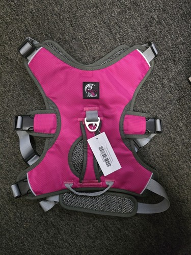 Dry dogs sight hound - dry,