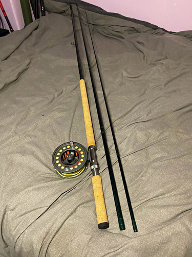Distinction the moy - moy, 15ft