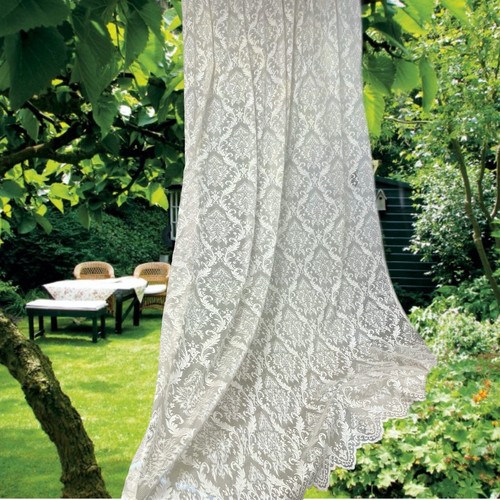 Damask lace window - damask,