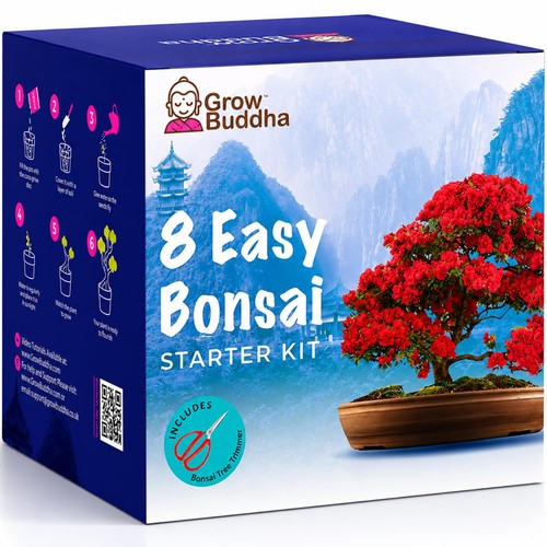 Bonsai tree kit - tree, grow