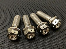 Yamaha TZ250 Stainless steel