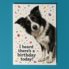 Border Collie Dog Don’t Look Away - Birthday Card Envelope - Personalised card