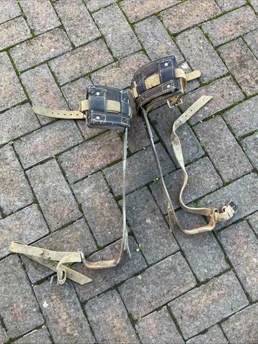 Vintage tree surgeon - surgeon, climbing