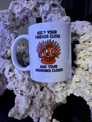 Anemone reef tank - reef,