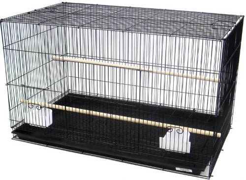 Breeding breeder bird flight - breeder,