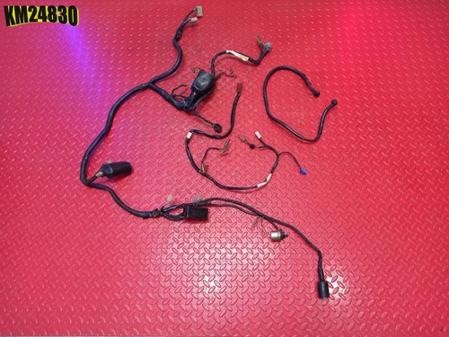 Electrical system yamaha tdm - system,