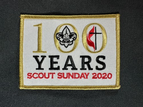 Bsa boy scout 100 - scout, years