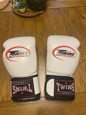 Twins Boxing Gloves 10oz