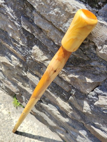 English yew shillelagh walking - yew,