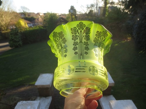 Antique acid etched - acid, tulip