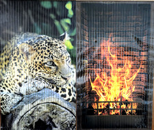 JAGUAR & FIREPLACE 2 x Far