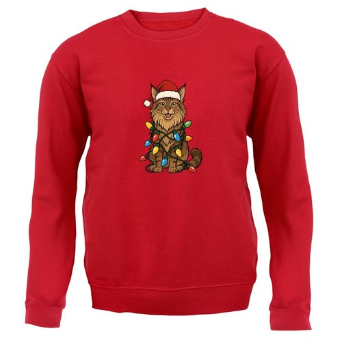 Maine coon dog - maine, christmas