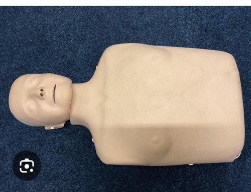 Adult little annie - adult, cpr