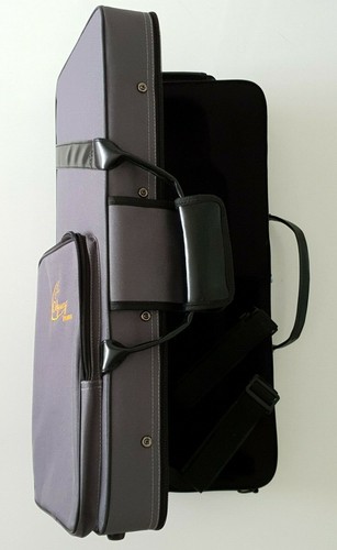 Odyssey trumpet case - case,