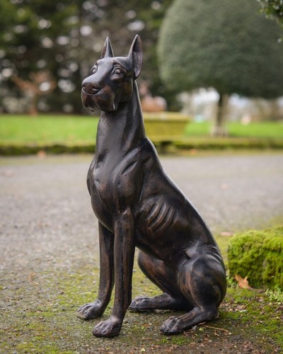 Great dane dog pet bronze - pet,