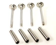 SET OF EXHAUST VALVES & GUIDES