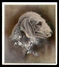 Godfrey Phillips “Our