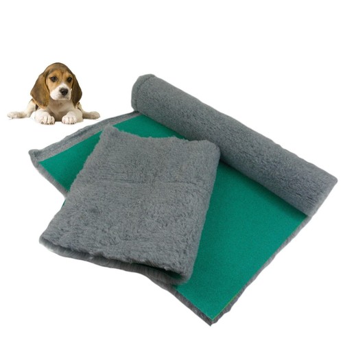 Traditional grey vet bed - traditional, bed.vet