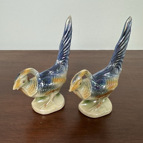 Pair jema holland - jema, pheasant