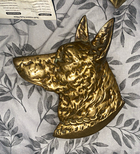 Brass dog head wall plaque - brass,