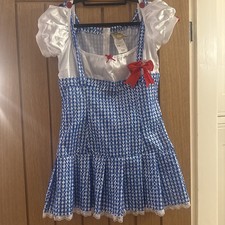 Wizard Of Oz Dorothy Costume