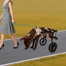 XXL Size Pet Rehabilitation Walking Aid 2-wheel Dog Wheelchairs for Back Legs