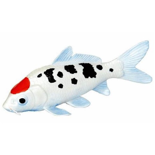 Koi fish tancho animal - koi,