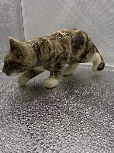 Winstanley tabby cat - cat, in