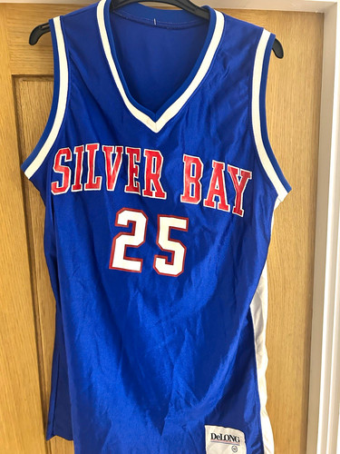 Delong silver bay team - bay,