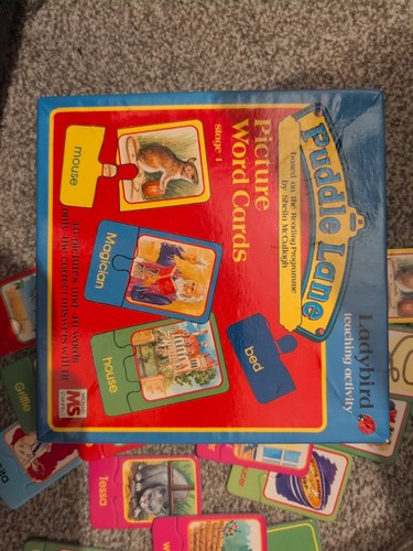 Puddle lane picture word cards - word,
