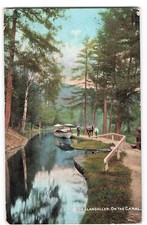 LLangollen on Canal horse