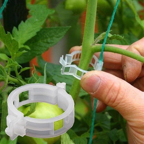 Garden plastic plant support - plant,