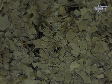 Premium 25% SPIRULINA TROPICAL