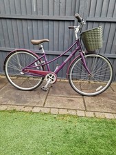 Lovely Ladies Pinnacle