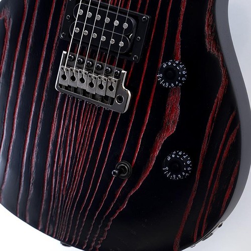 Paul reed smith prs - se, swamp