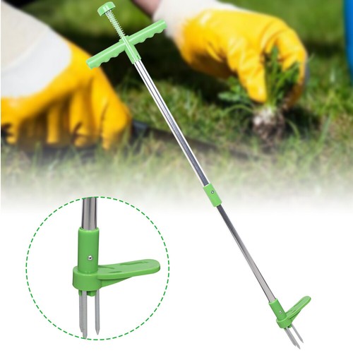 Weed cutter dandelion - dandelion,