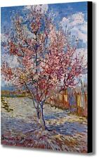 Peach Tree in Bloom by Vincent Van Gogh - Canvas Wall Art Framed Print 