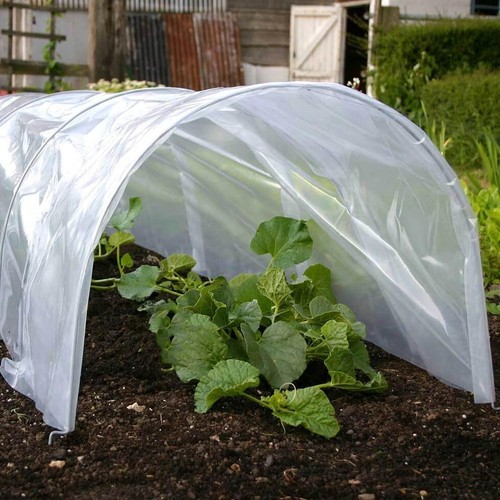 Poly tunnel cloche mini - poly,