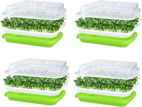 Kaheign 4pcs seed sprouting - seed,