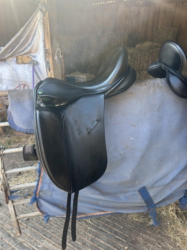 Inch ideal jessica dressage - 17,