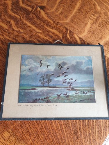 Small vintage framed print - vintage, if