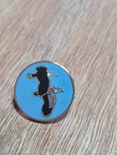 Vintage RSPB enamel lapel