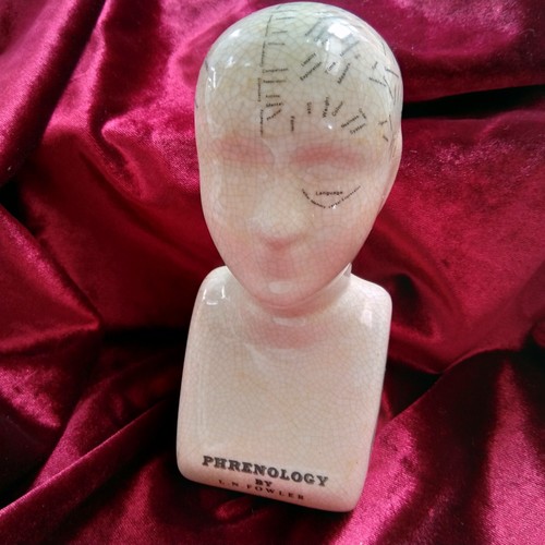Small phrenology head - 7",