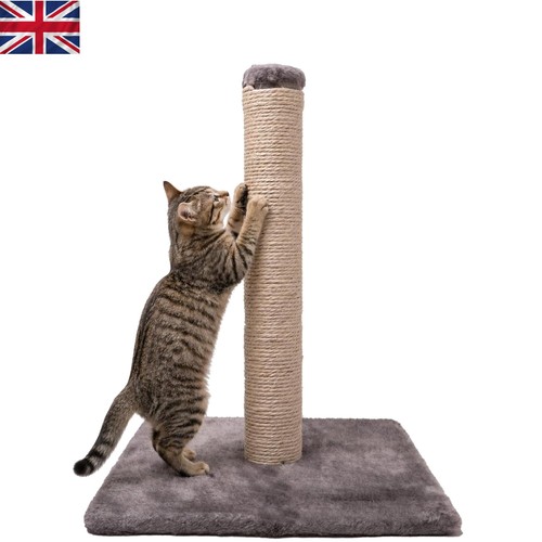 Durable cat scratching - cat,
